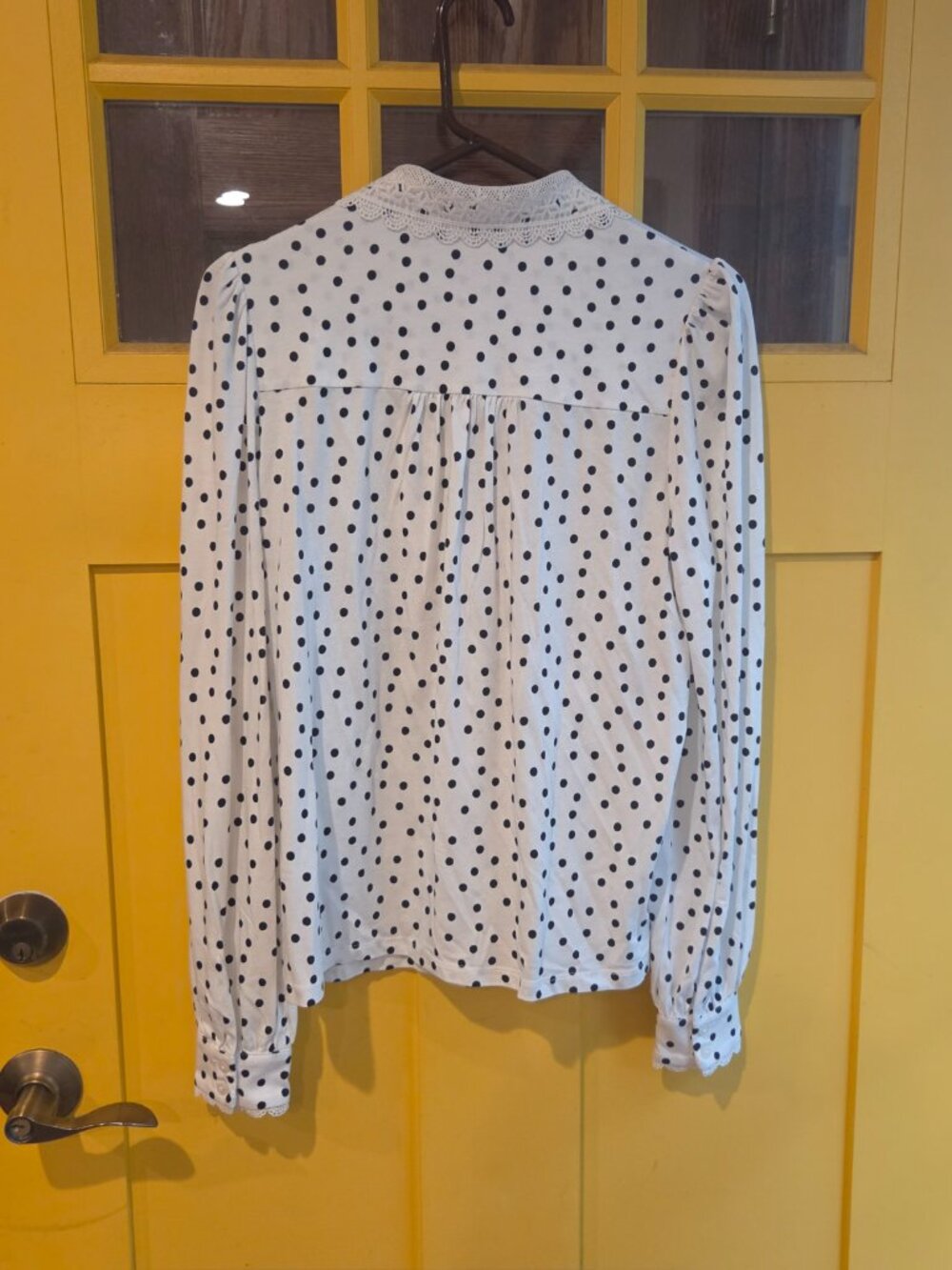 Lace Collar Blouse - Ivory, Painted Dot - Picture 7 of 7